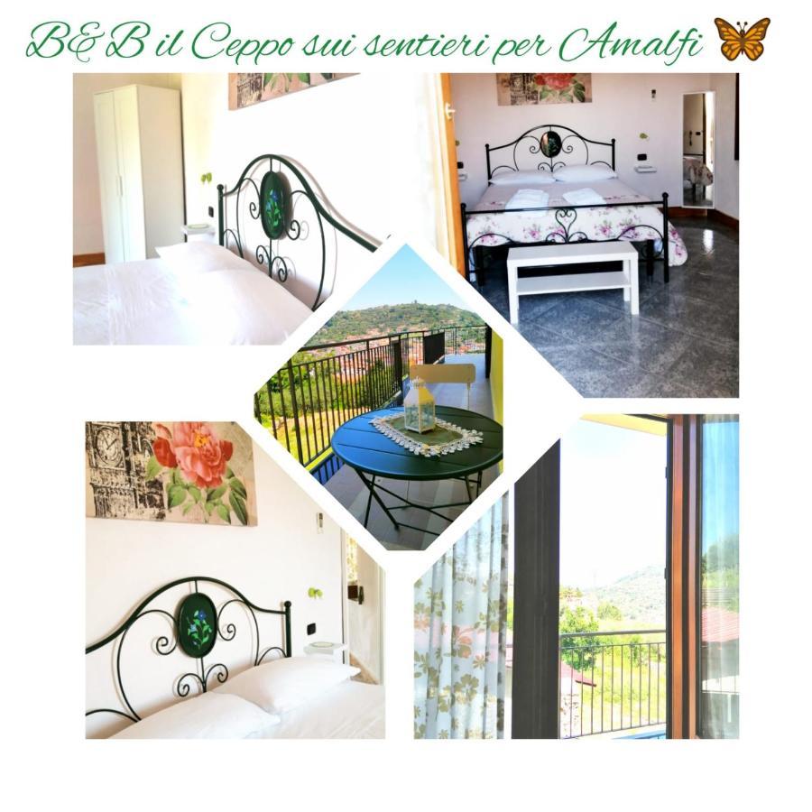 Bed and Breakfast Il Ceppo Sui Sentieri Per Amalfi à Pimonte Extérieur photo